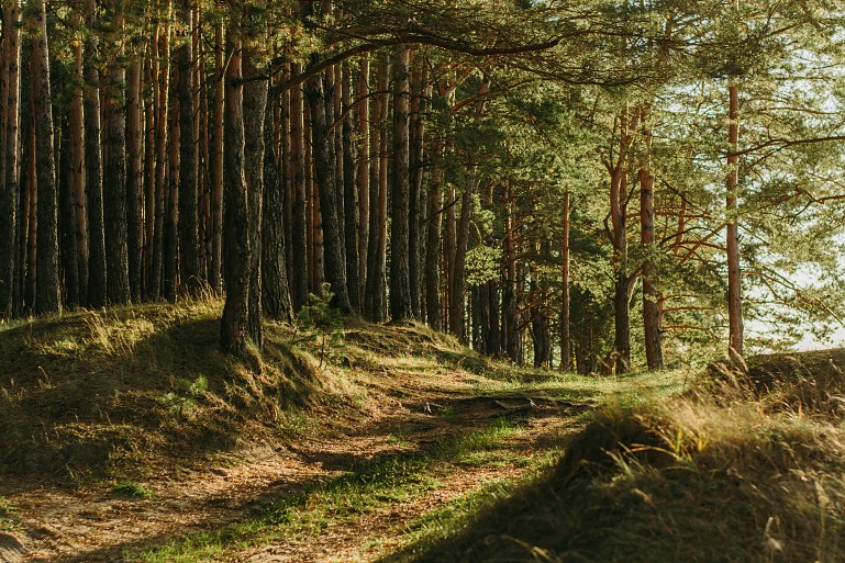 Objavljena Okoljska izjava za leto 2024